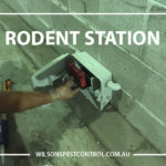 Rodent station, Treatment of mice & rats pest control Blacktown, holroyd, The Hills