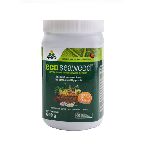 Eco Seaweed by OCP