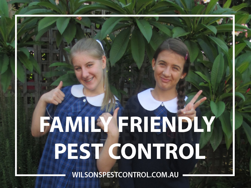 Pest Control Sydney - Family Friendly