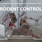 Wilsons Pest Control Blacktown Rodent Control