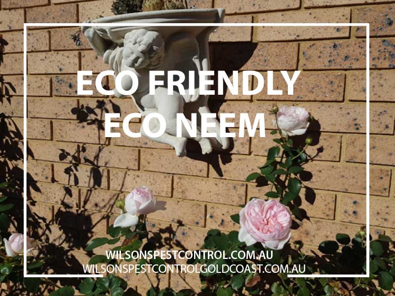 Eco Neem