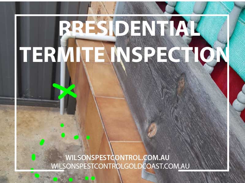Wilsons Pest Control Termite Inspection Residential home Blacktown Sydney