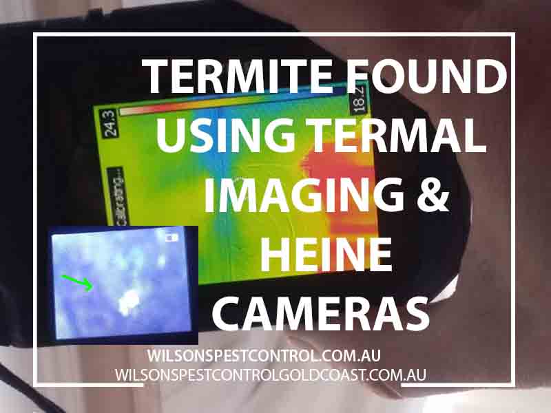 Termite Inspections, Wilsons Pest Control Termite Thermal Cameras Blacktown, HolroydHornsby