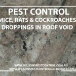 Wilsons Pest Control Rodents, Mice & Rats Blacktown & Holroyd