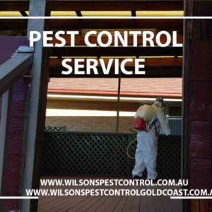 Wilsons Pest Control Blacktown & Holroyd