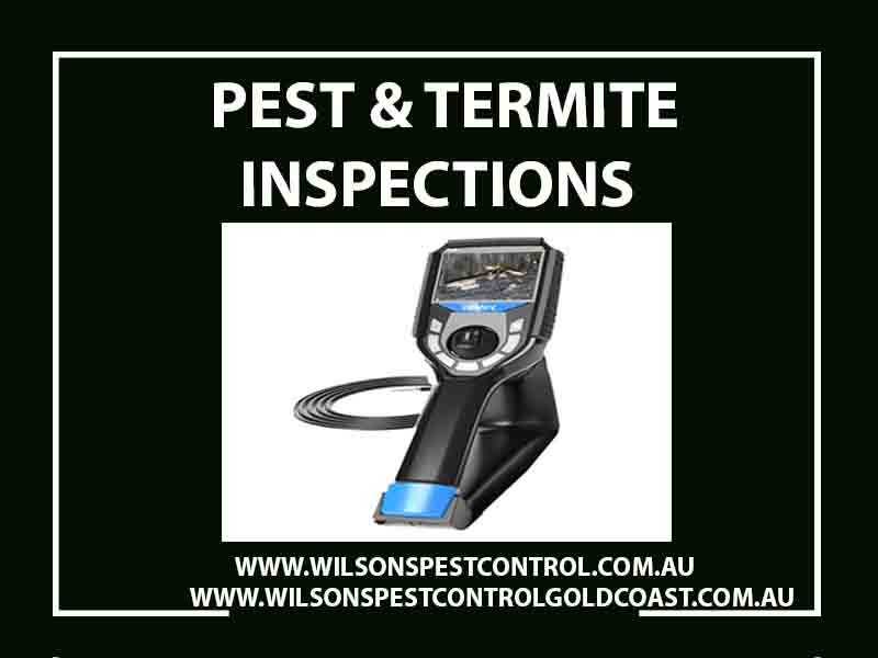 Wilsons Pest Control Termite Inspections Castle Hill Dundas Valley Sydney, Blacktown